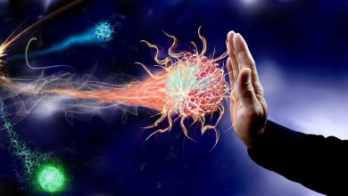 جهاز المناعة في جسم الانسان - كيفية تقوية جهاز المناعه