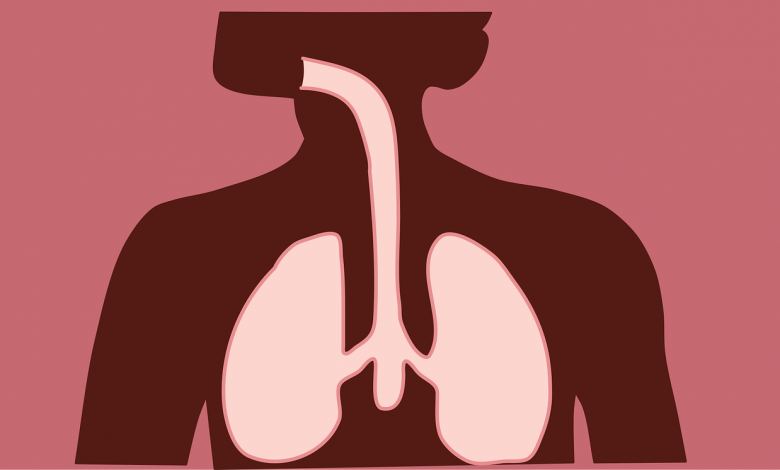 كيف نحافظ على الجهاز التنفسي